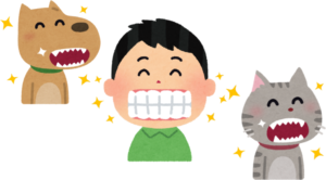 動物と人間の歯のイラスト